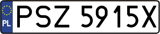 PSZ5915X