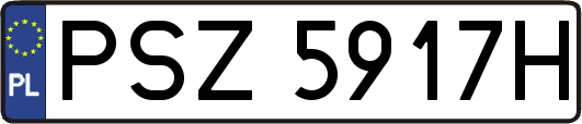 PSZ5917H