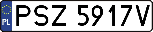 PSZ5917V