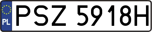 PSZ5918H