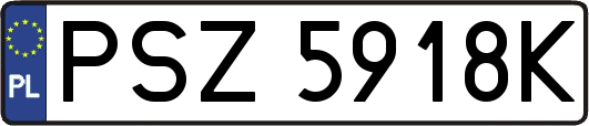 PSZ5918K