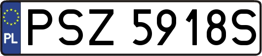 PSZ5918S
