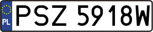PSZ5918W