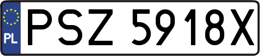 PSZ5918X