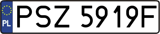 PSZ5919F
