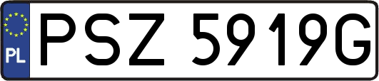 PSZ5919G