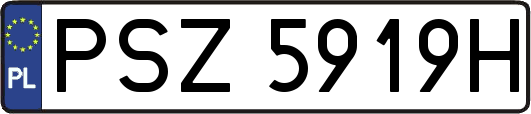 PSZ5919H
