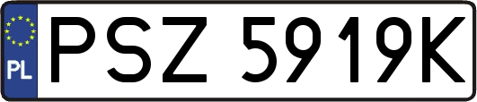 PSZ5919K