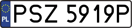 PSZ5919P