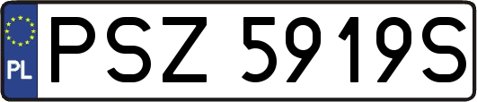 PSZ5919S
