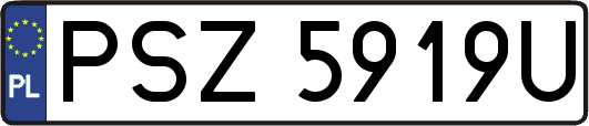 PSZ5919U