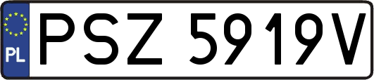 PSZ5919V