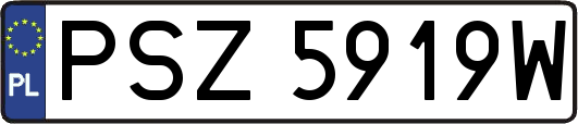 PSZ5919W