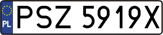 PSZ5919X