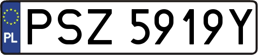 PSZ5919Y