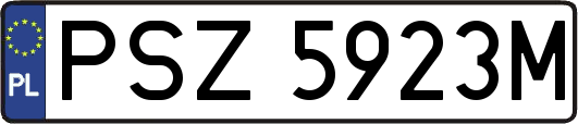 PSZ5923M
