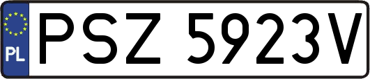 PSZ5923V