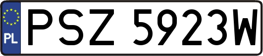 PSZ5923W