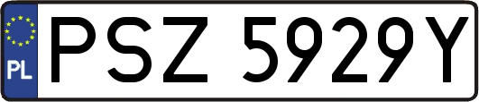 PSZ5929Y