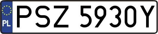 PSZ5930Y