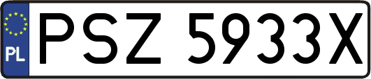 PSZ5933X