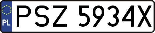 PSZ5934X