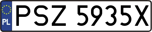 PSZ5935X