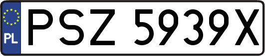 PSZ5939X