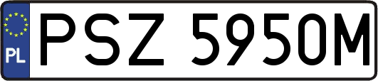 PSZ5950M