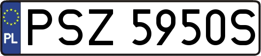 PSZ5950S
