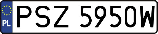 PSZ5950W