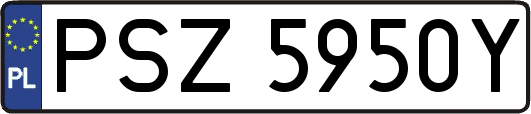 PSZ5950Y