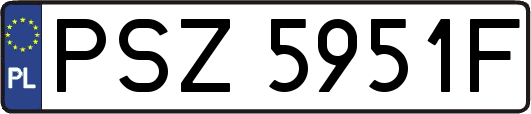 PSZ5951F