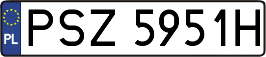 PSZ5951H
