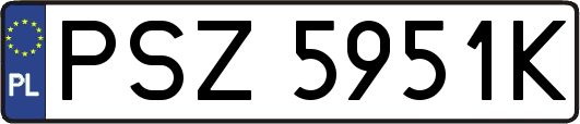 PSZ5951K