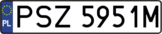 PSZ5951M