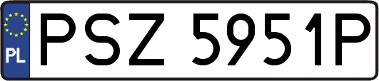 PSZ5951P
