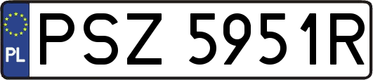 PSZ5951R