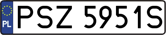 PSZ5951S