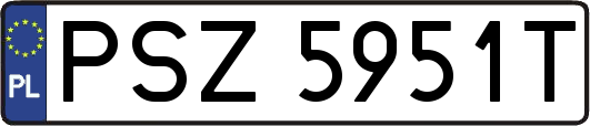 PSZ5951T
