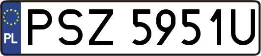 PSZ5951U
