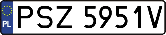 PSZ5951V