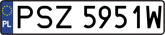 PSZ5951W