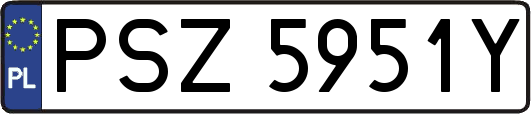 PSZ5951Y