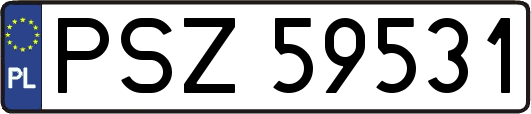PSZ59531