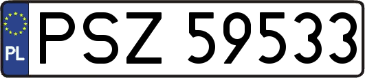 PSZ59533