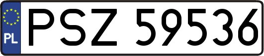PSZ59536