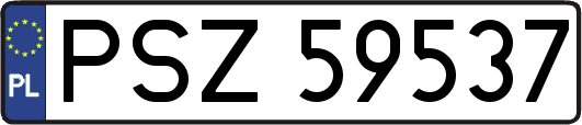 PSZ59537