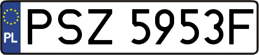 PSZ5953F