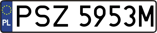 PSZ5953M